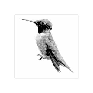 Fotografie met ruby-Throated Hummingbird Rubberstempel
