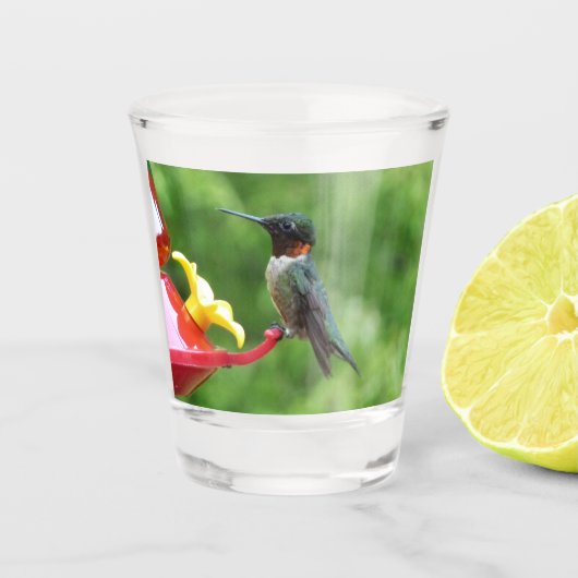 Fotografie met ruby-Throated Hummingbird Shot Glas (Voorkant)