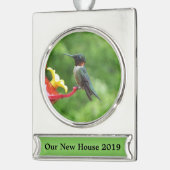 Fotografie met ruby-Throated Hummingbird Verzilverd Banner Ornament (Links)