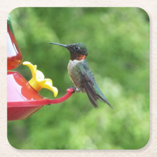 Fotografie met ruby-Throated Hummingbird Vierkante Kartonnen Onderzetter