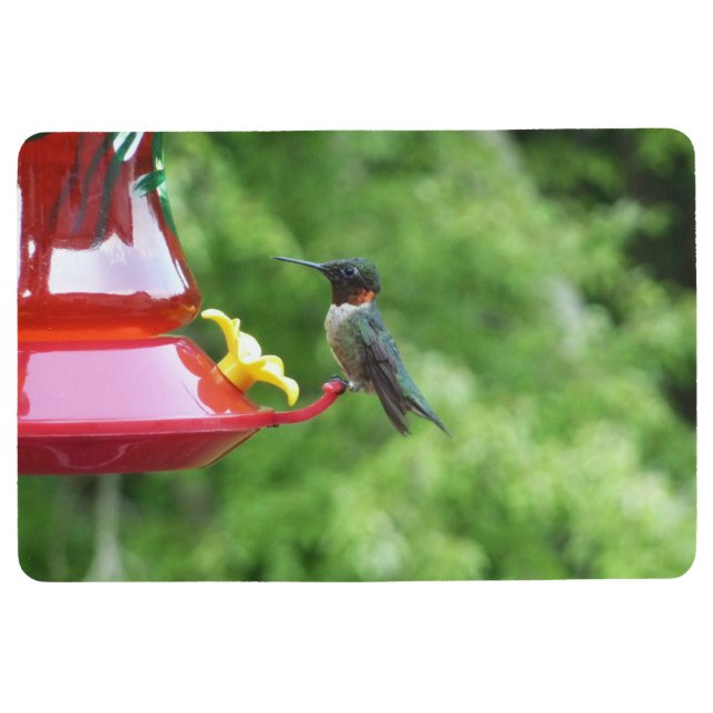 Fotografie met ruby-Throated Hummingbird Vloermat (Voorkant)