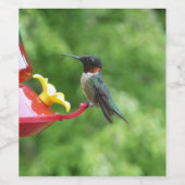 Fotografie met ruby-Throated Hummingbird Wijn Etiket (Enkel label)