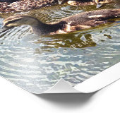 Fotografie-Prints voor bedeuken en eenden Foto Afdruk (Hoek)