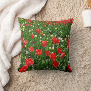 Fotografie rode Tulp Flower Field Natuur Kussen
