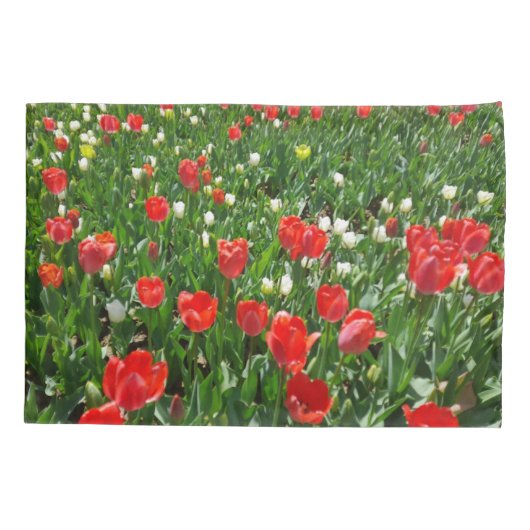 Fotografie rode Tulp Flower Field Natuur Kussensloop (Achterkant)