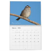 Fotografie Songbird 2019 Kalender (Feb 2026)