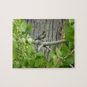 Fotografie van Audubon's Warbler-Natuur Legpuzzel