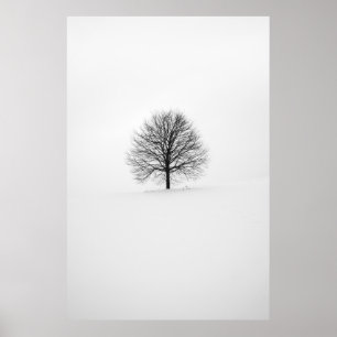 FOTOGRAFIE VAN BOOM POSTER
