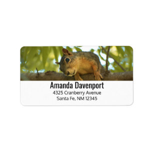Fotografie van Cute & Curious Squirrel Natuur Etiket