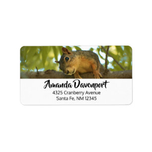 Fotografie van Cute & Curious Squirrel Natuur Etiket