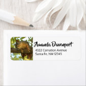 Fotografie van Cute & Curious Squirrel Natuur Etiket (Insitu)