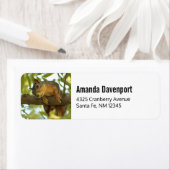 Fotografie van Cute & Curious Squirrel Natuur Etiket (Insitu)