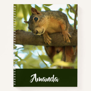 Fotografie van Cute & Curious Squirrel Natuur Notitieboek