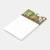 Fotografie van Cute & Curious Squirrel Natuur Post-it® Notes (Schuin)