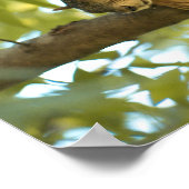 Fotografie van Cute & Curious Squirrel Natuur Poster (Hoek)