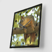 Fotografie van Cute & Curious Squirrel Natuur Vierkante Klok (Hoek)