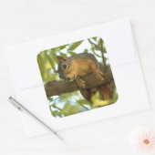 Fotografie van Cute & Curious Squirrel Natuur Vierkante Sticker (Envelop)