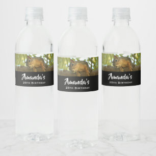 Fotografie van Cute & Curious Squirrel Natuur Waterfles Etiket