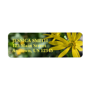 Fotografie van de Gele Daisy Flower Floral Natuur Etiket