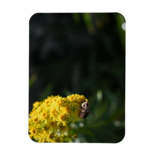 Fotografie van de Natuur van gele bloemen bijen Magneet