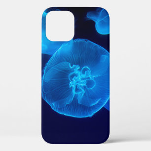 FOTOGRAFIE VAN DE SCHADE VAN JELLYFISH iPhone 12 HOESJE