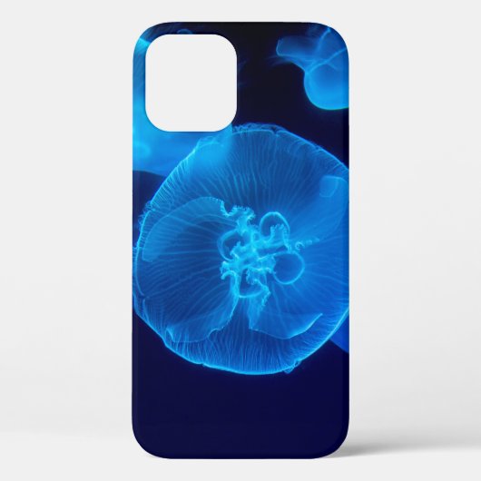 FOTOGRAFIE VAN DE SCHADE VAN JELLYFISH Case-Mate iPhone CASE (Achterkant)