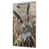 Fotografie van de uil klembord (Links)