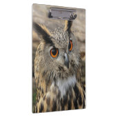 Fotografie van de uil klembord (Rechts)