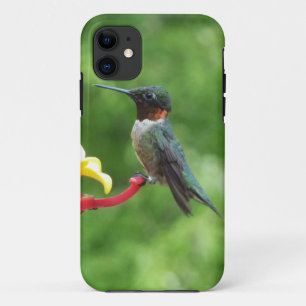 Fotografie van een roodkeelkolibrie iPhone 11 hoesje