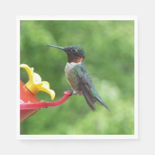 Fotografie van een roodkeelkolibrie servetten