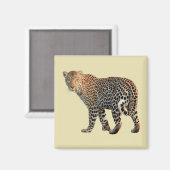 Fotografie van gepotte wilde kat magneet (Voorkant / Achterkant)