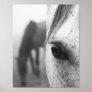 Fotografie van hedendaagse paardenogen poster