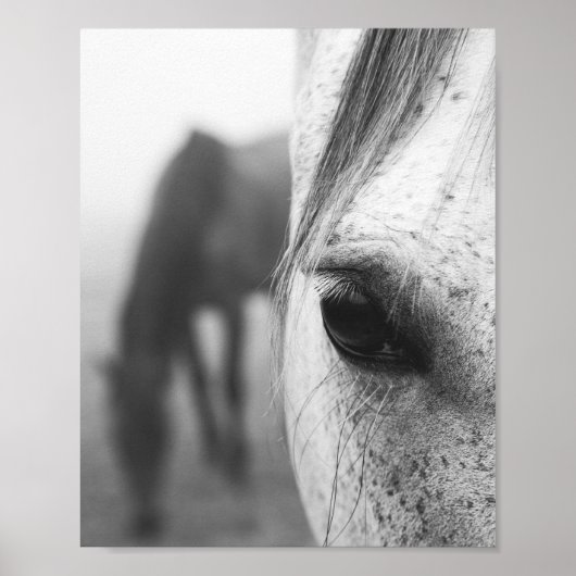 Fotografie van hedendaagse paardenogen poster (Voorkant)
