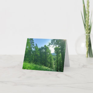 Fotografie van het groene boslandschap bedankkaart