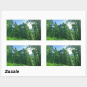 Fotografie van het groene boslandschap rechthoekige sticker (Vel)