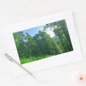Fotografie van het groene boslandschap rechthoekige sticker (Envelop)