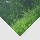 Fotografie van het groene boslandschap tissuepapier (Detail)