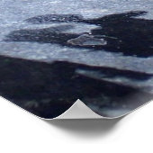 Fotografie van kikkerfort poster (Hoek)