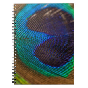 Fotografie van paukveer notitieboek