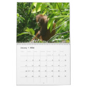 Fotografie van stutdieren kalender (Jan 2026)