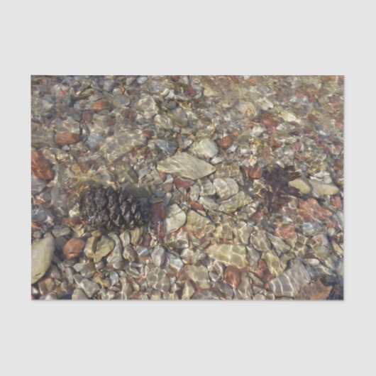 Fotografie van Taylor Creek Natuur Tissuepapier (Voorkant)