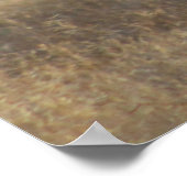 FOTOGRAFIE VAN WILDE HORSE POSTER (Hoek)