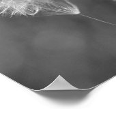 Fotografie van zwart-wit-andelion poster (Hoek)