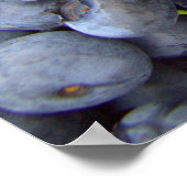 Fotografie verse bosbessen poster (Hoek)