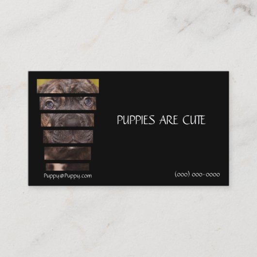 Fotografiet Corso Puppy Visitekaartje (Voorkant)