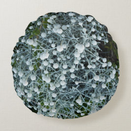 fotografiqqq uniqe pillow rond kussen