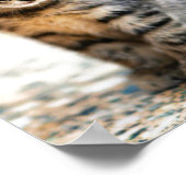 FOTOGRAFISCH POSTER KITTEN IN KLEUR (Hoek)