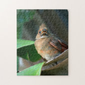 Fotografisch vormend kardinaal legpuzzel (Verticaal)