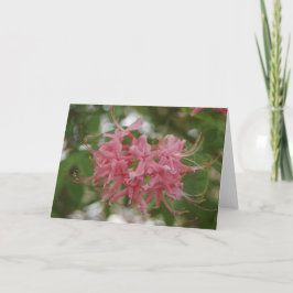 Fotografische aard kaart