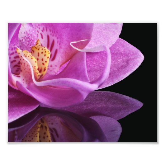 Fotografische afdruk orchidee (Voorkant)